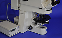 eiss AxioPlan-2 Upright Manual Fluorescence Microscope