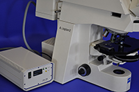 eiss AxioPlan-2 Upright Manual Fluorescence Microscope