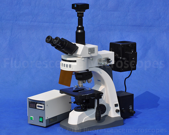 40x 1000x Infinity Corrected Epi Illumination Upright Fluorescence Microscope Ebay 0820